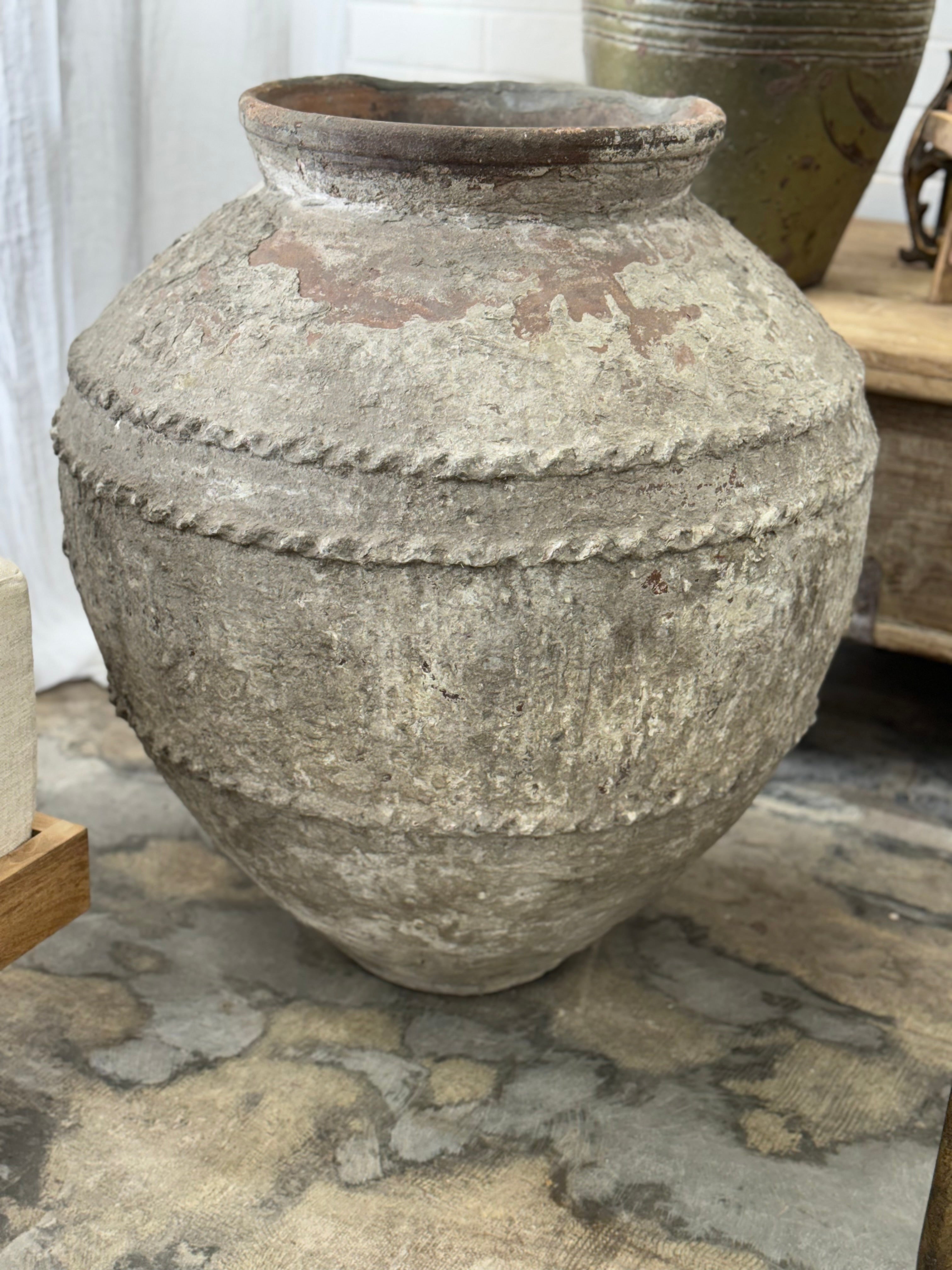 Old Ju Pot | Extra Large | Creeping Fig