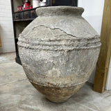 Old Ju Pot | Extra Large | Creeping Fig