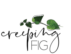 Creeping Fig