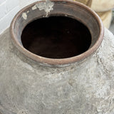 Old Ju Pot | Extra Large | Creeping Fig