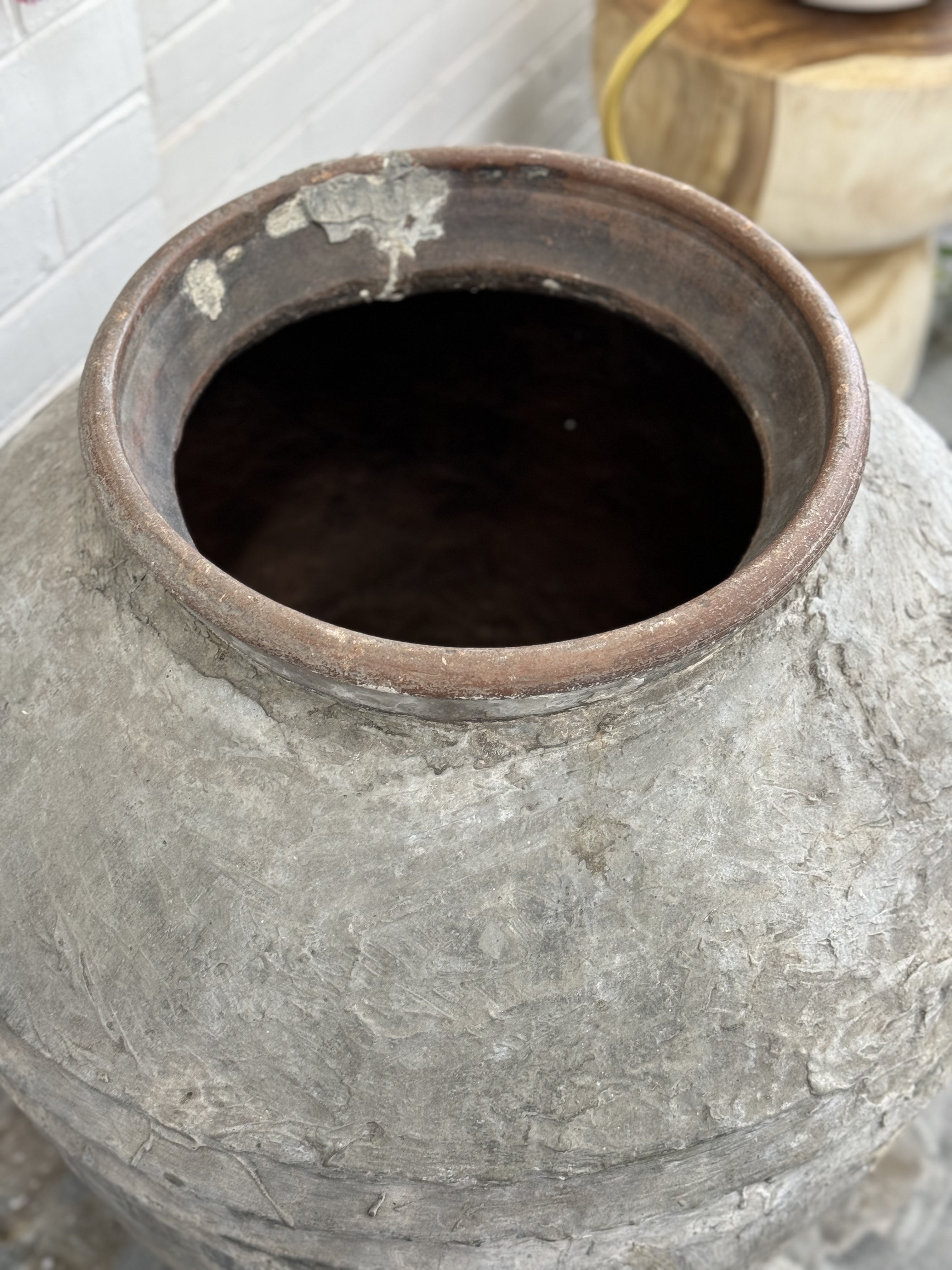 Old Ju Pot | Extra Large | Creeping Fig
