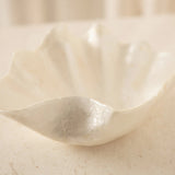 Clam Dish | Creeping Fig