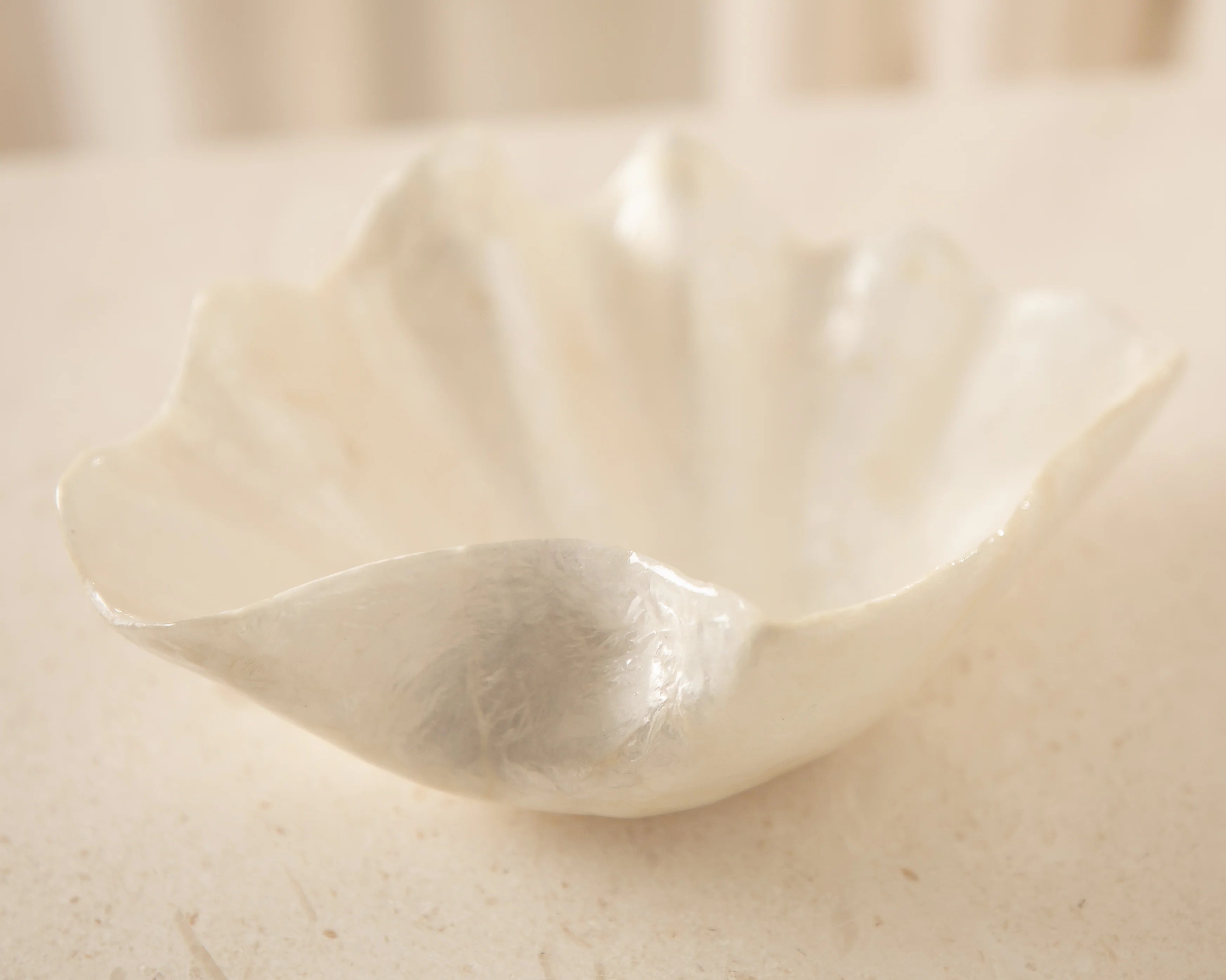 Clam Dish | Creeping Fig