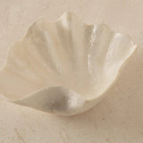 Clam Dish | Creeping Fig