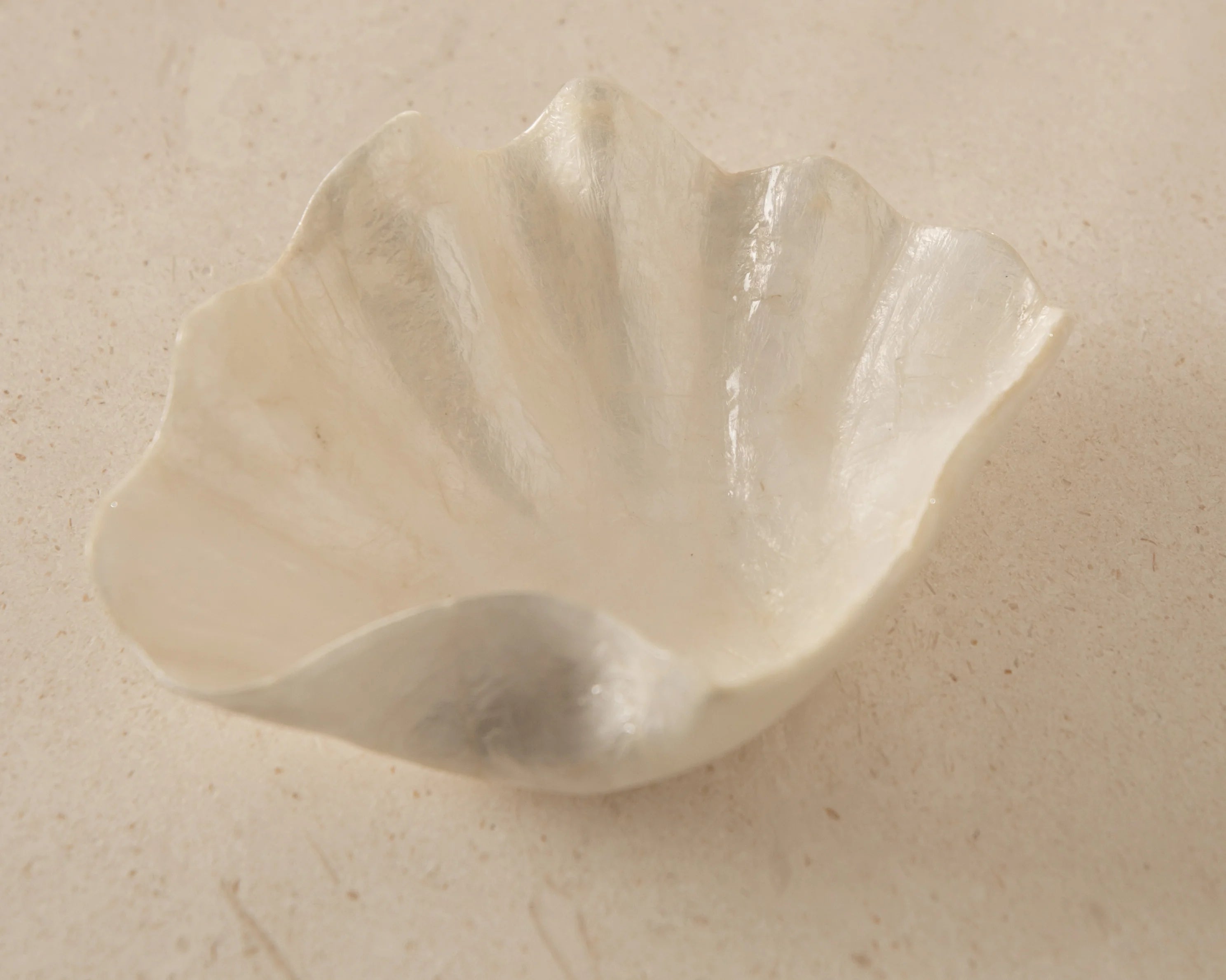 Clam Dish | Creeping Fig