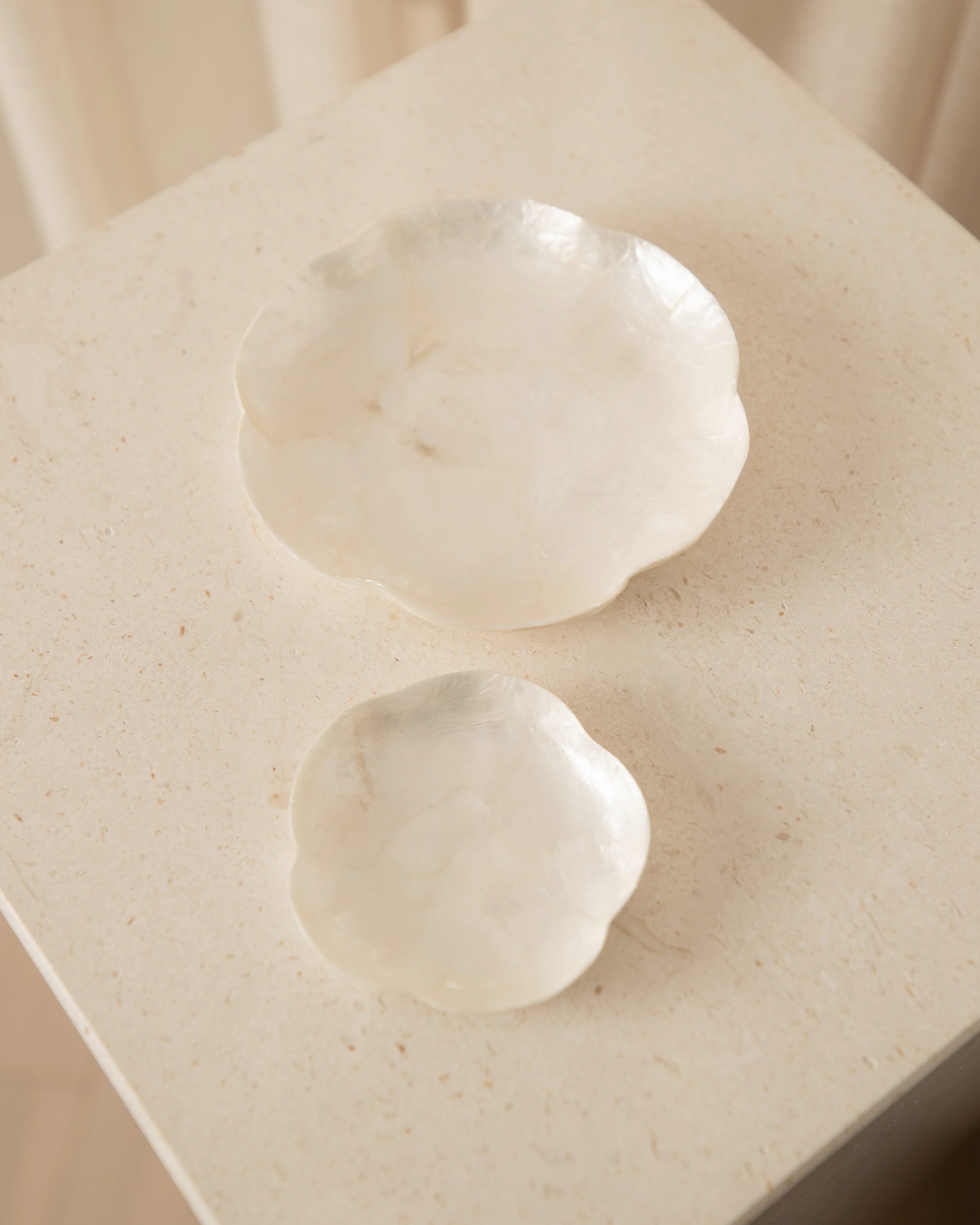 Scallop Dish Set | Creeping Fig