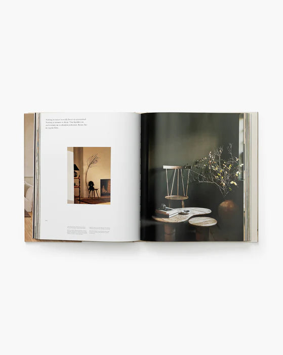 Arranging Things | Creeping Fig