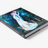 Vogue: Fantasy & Fashion