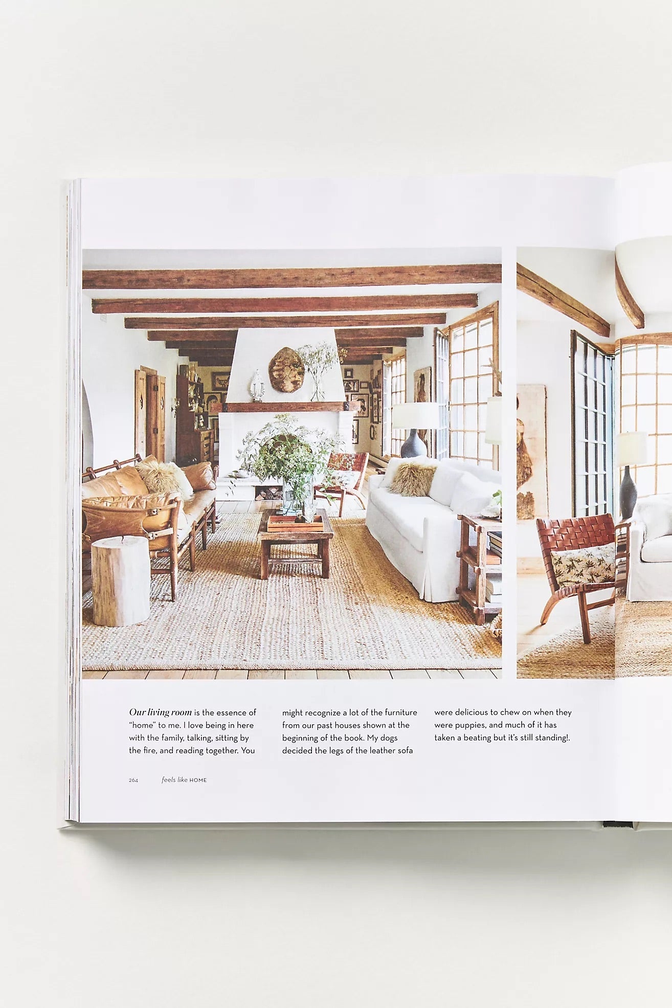 FEELS LIKE HOME | Creeping Fig