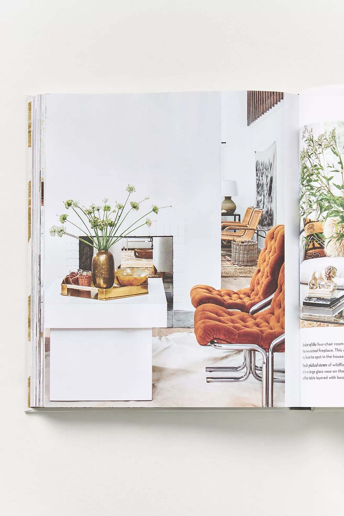FEELS LIKE HOME | Creeping Fig