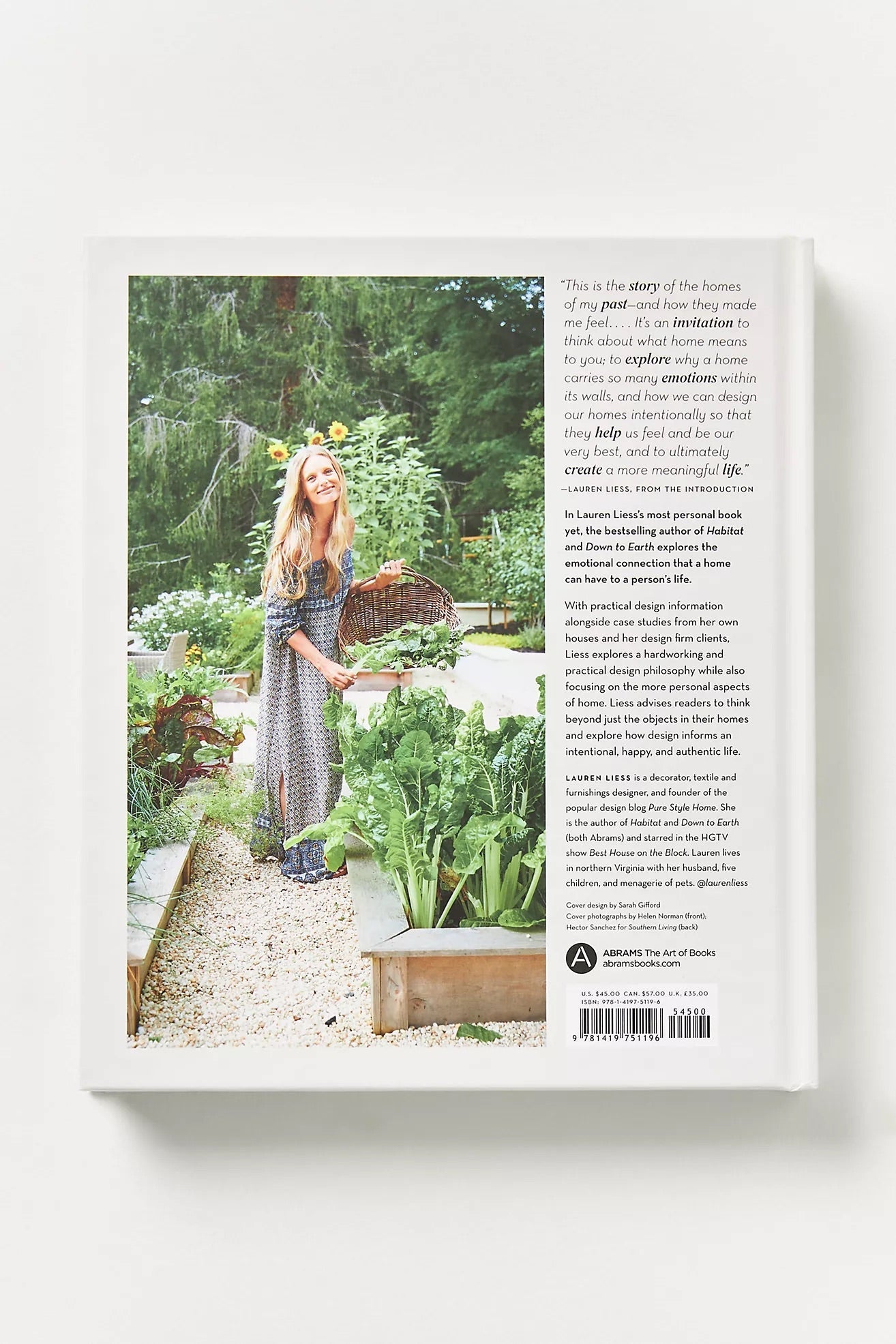 FEELS LIKE HOME | Creeping Fig