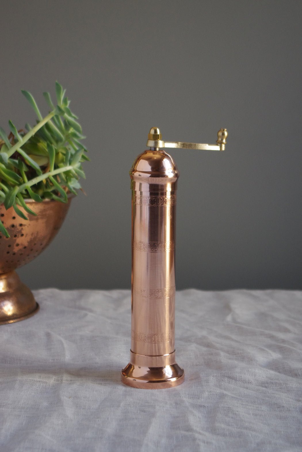 COPPER SALT MILL 409 | Creeping Fig