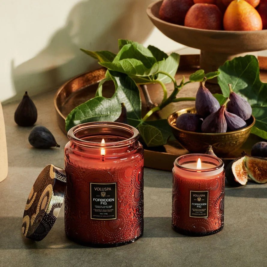 Forbidden Fig Large Jar Candle | Creeping Fig