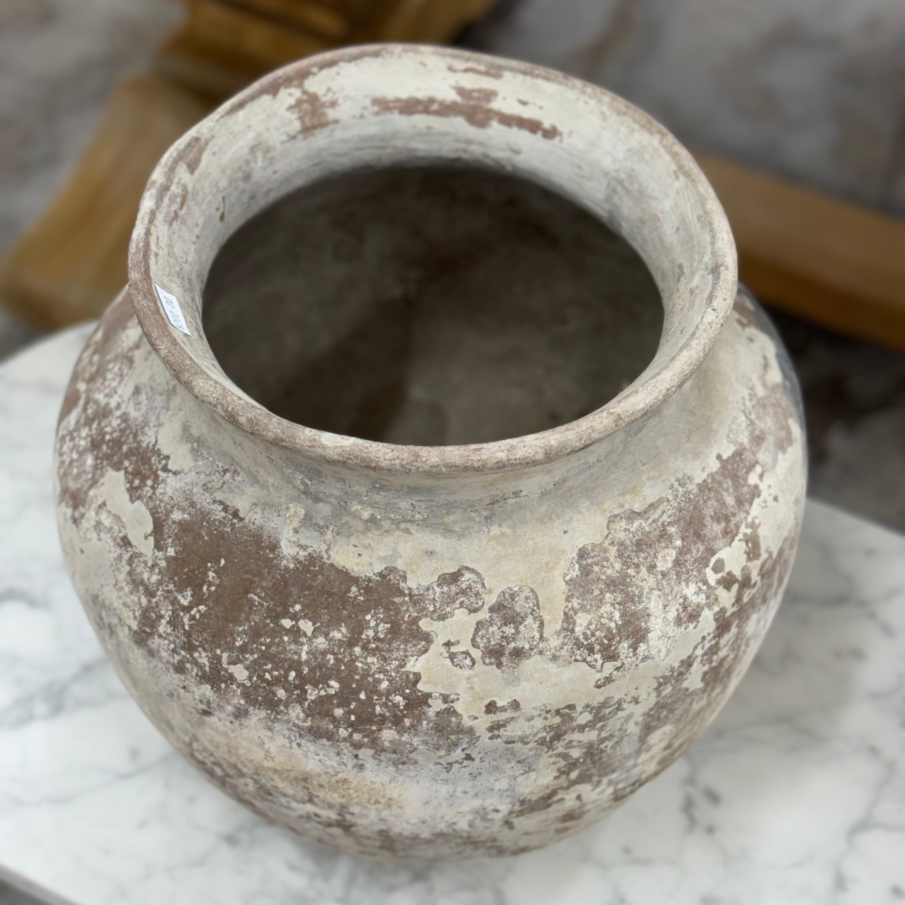 Old Ju Pot | Small | Creeping Fig