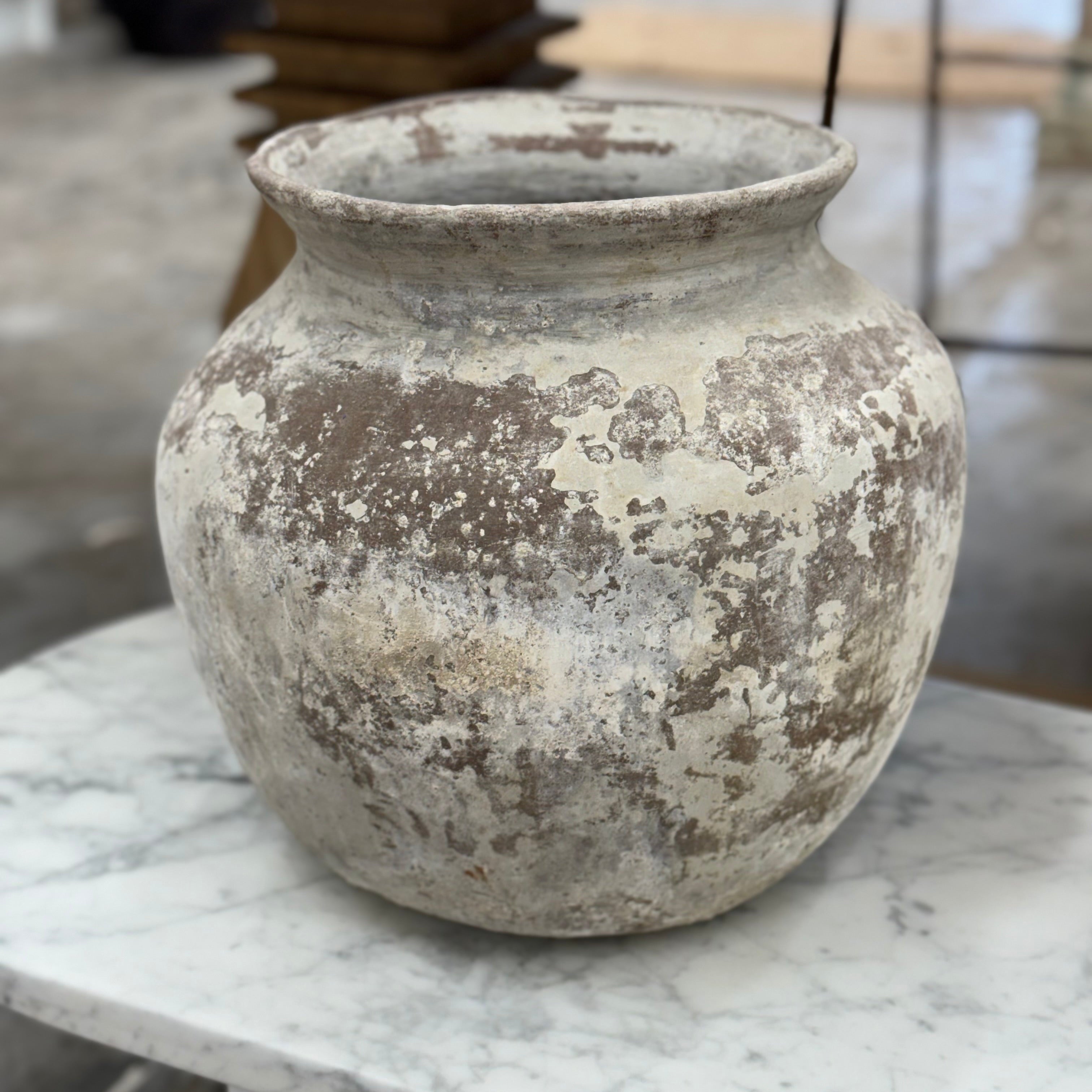 Old Ju Pot | Small | Creeping Fig