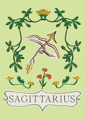 Sagittarius | Creeping Fig