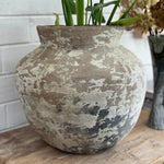 Old Ju Pot | Small | Creeping Fig