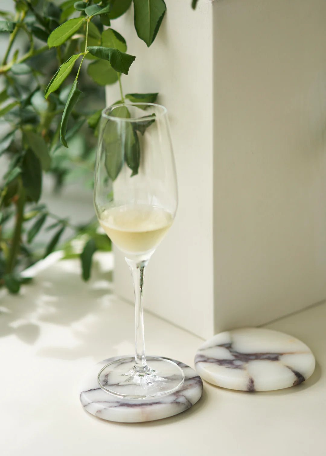 STONE COASTER SET - CALACATTA VIOLA | Creeping Fig