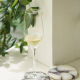 STONE COASTER SET - CALACATTA VIOLA | Creeping Fig