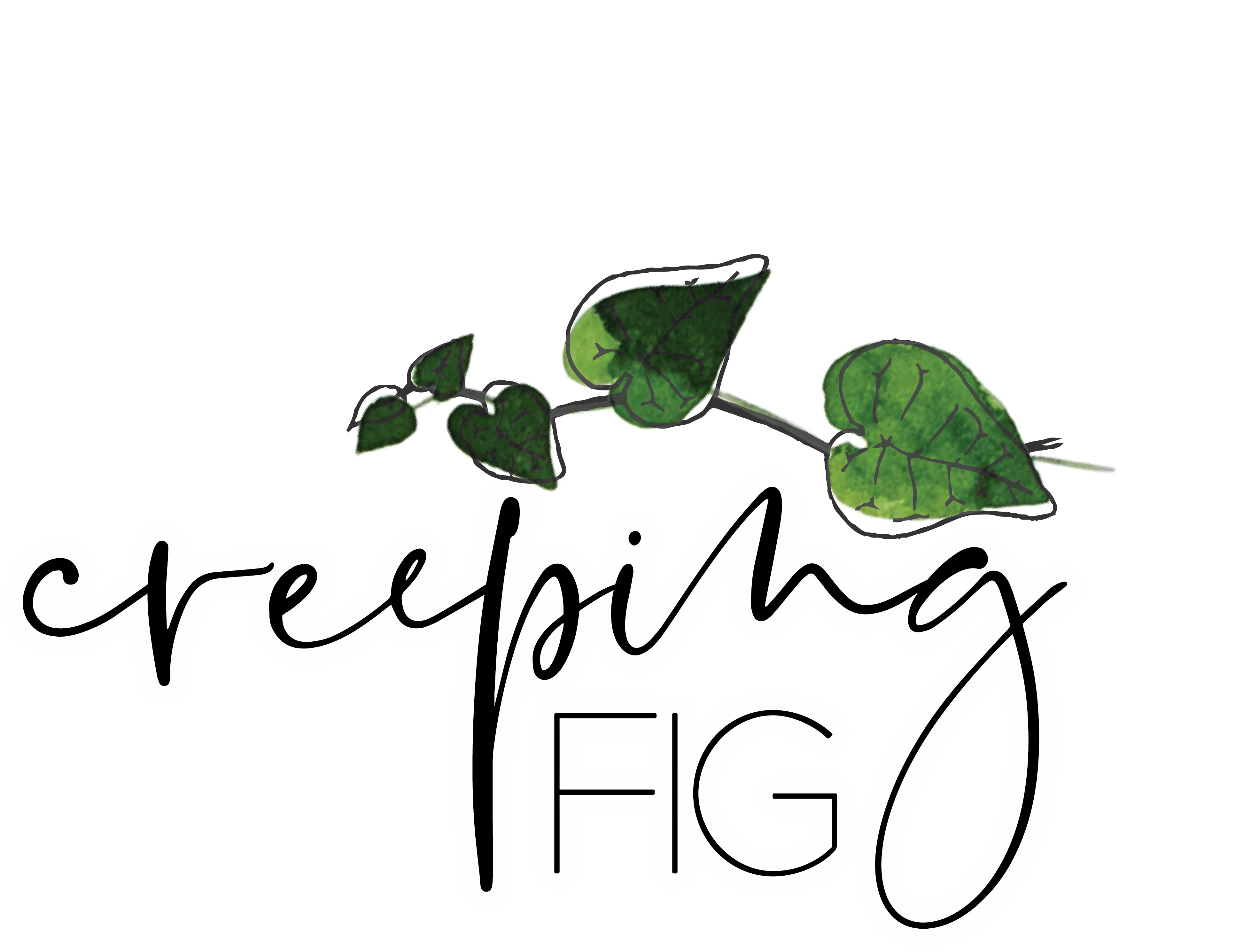 En gold creeping fig