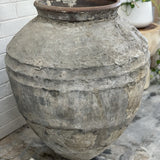 Old Ju Pot | Extra Large | Creeping Fig