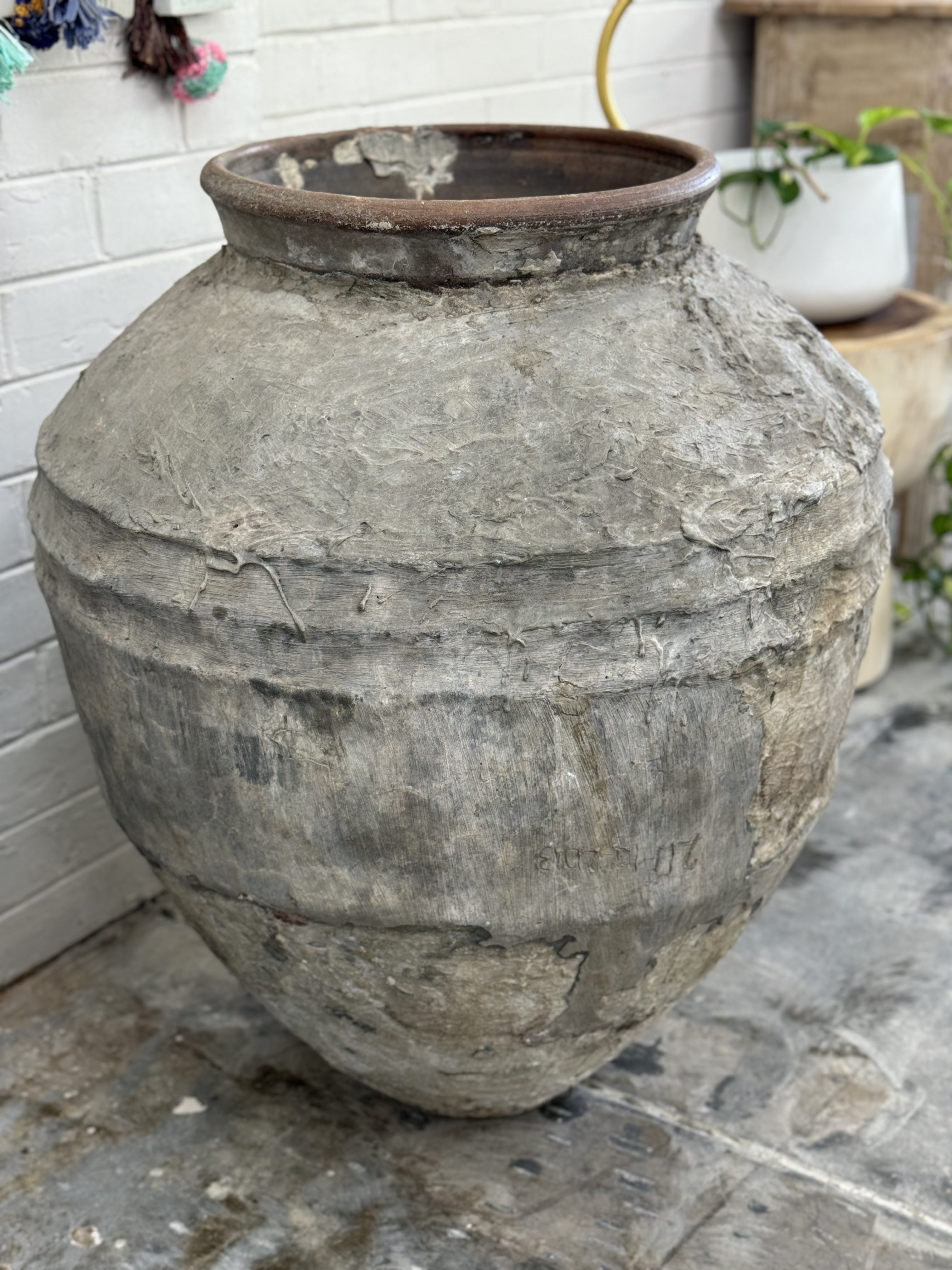 Old Ju Pot | Extra Large | Creeping Fig