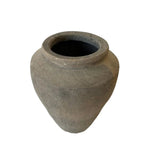 Indian Clay Pot | Creeping Fig