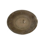 Indian Stone Plate | Creeping Fig