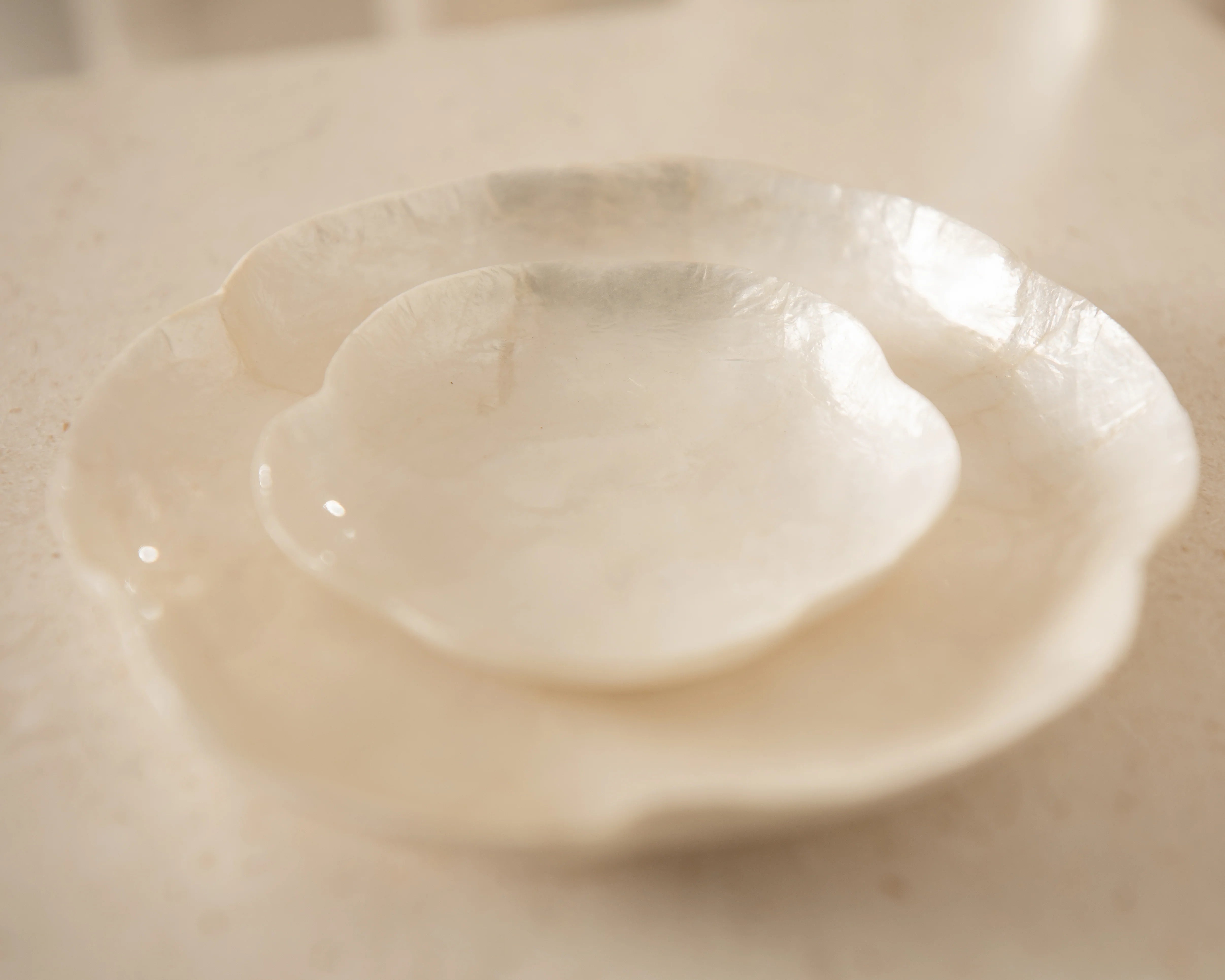 Scallop Dish Set | Creeping Fig