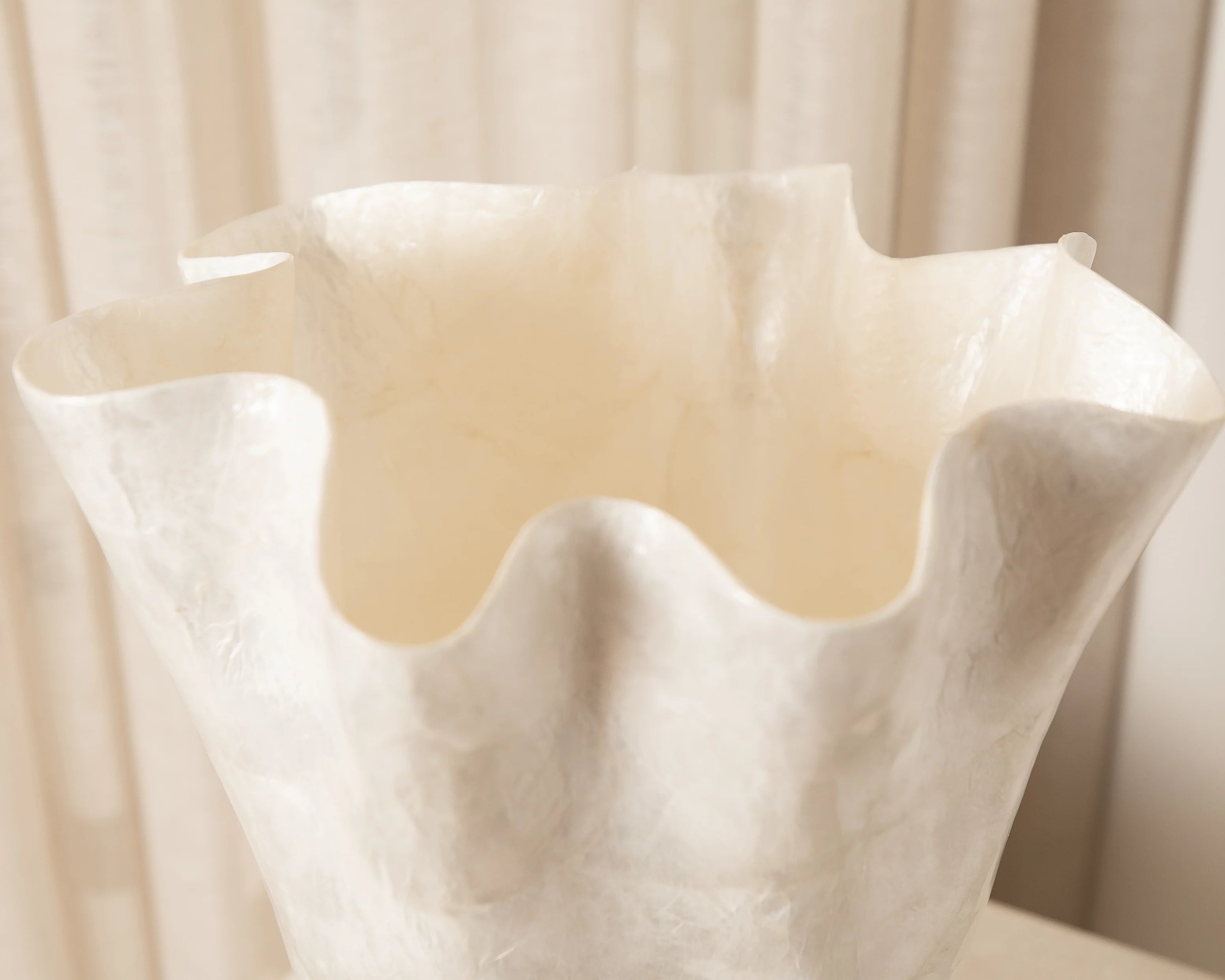 Flamenco Vase - Large | Creeping Fig