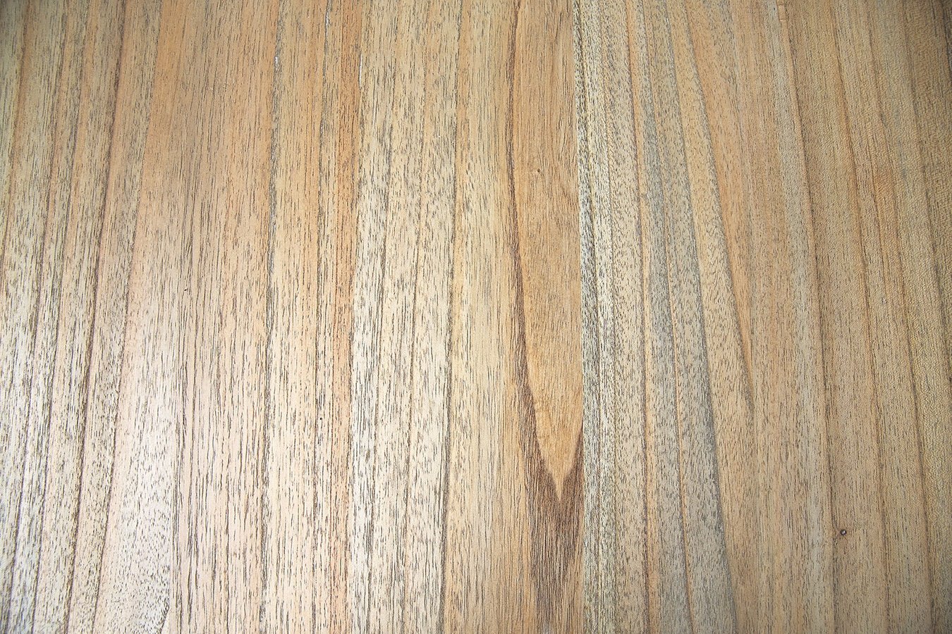 Pedestal Dining Table - 300cm | Creeping Fig
