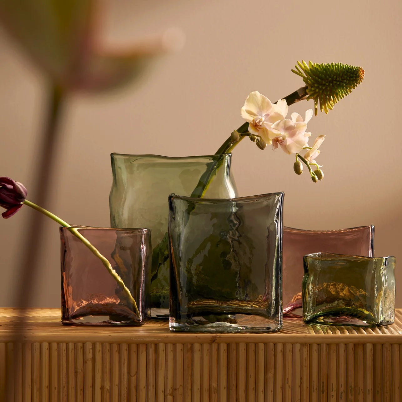 Block Vase | Green| Large | Creeping Fig