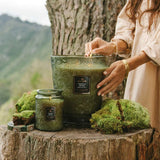 Temple Moss Large Jar Candle | Creeping Fig