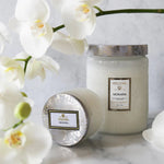 Mokara Large Jar Candle | Creeping Fig