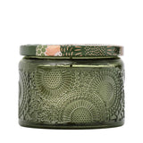 Temple Moss Petite Jar Candle | Creeping Fig