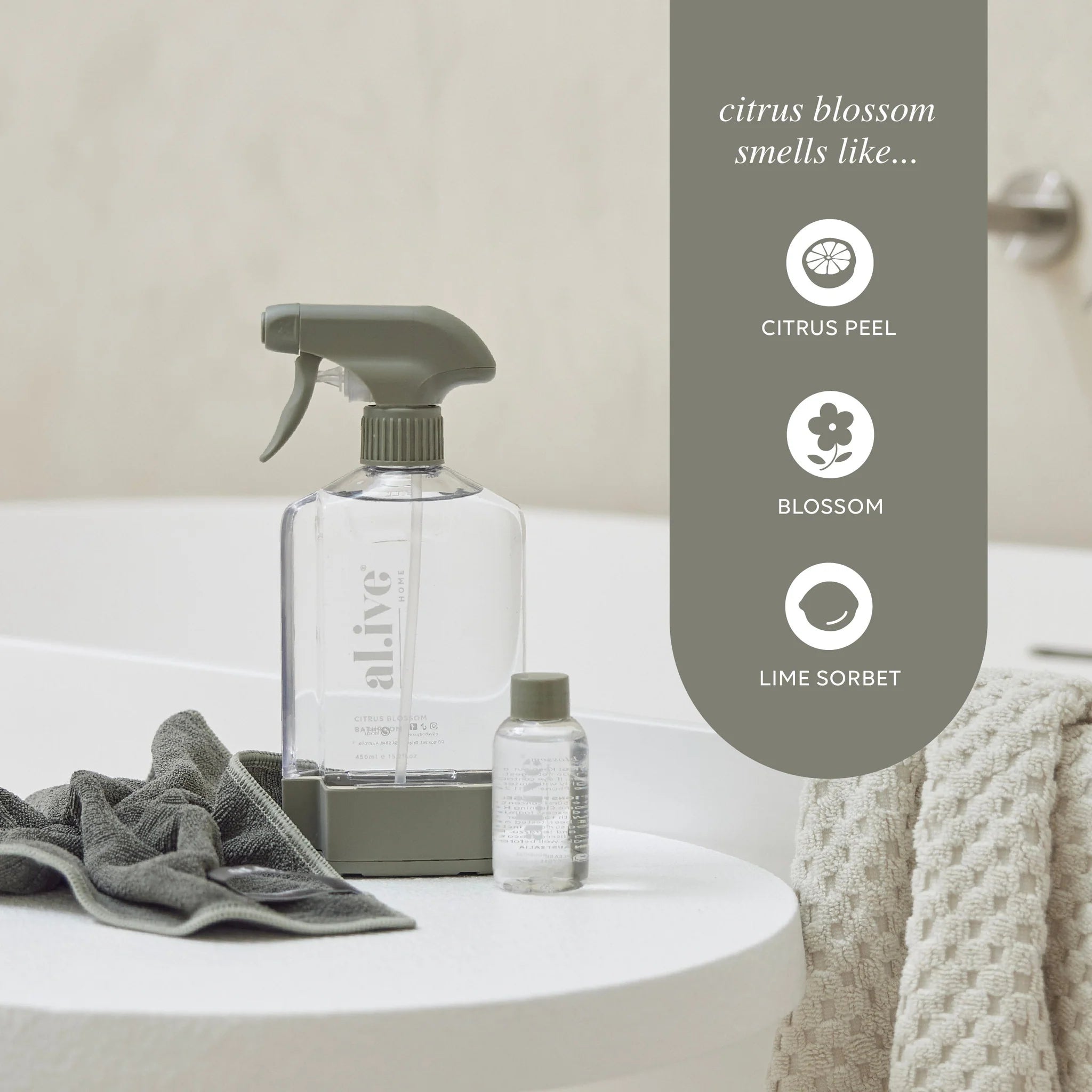 Bathroom Cleaning Kit | Creeping Fig