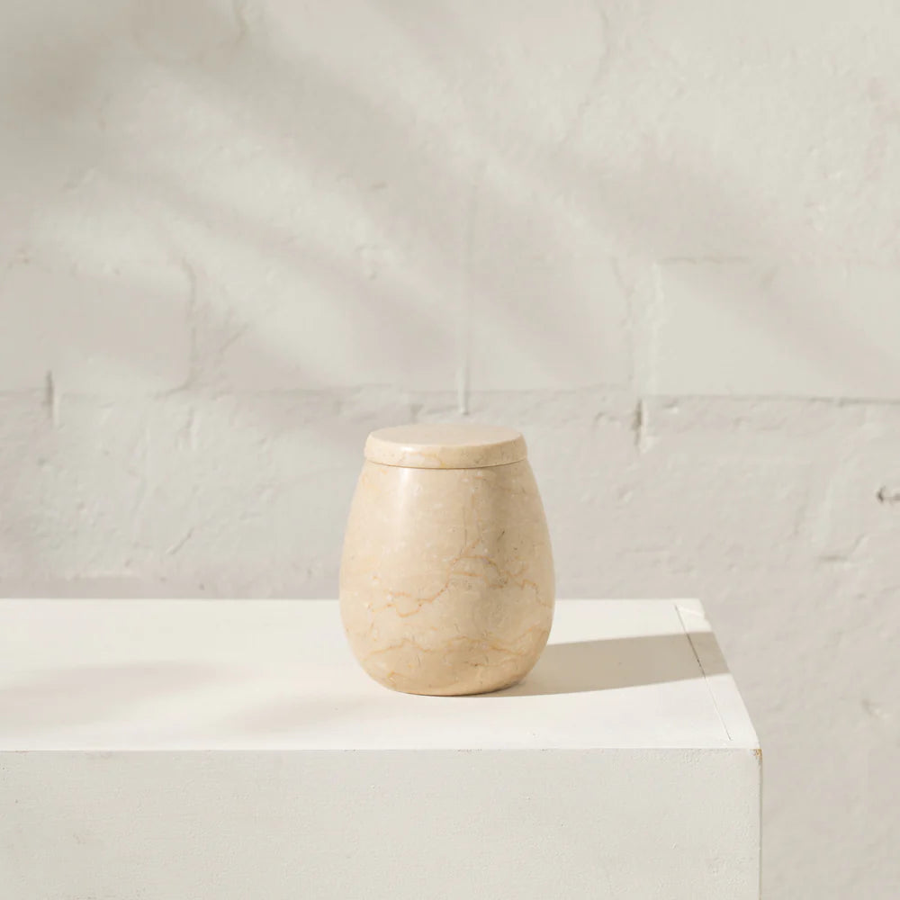 CITRA STONE CANISTER | Creeping Fig