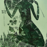JUNGLE FLOWER LIMITED EDITION PRINT | Creeping Fig