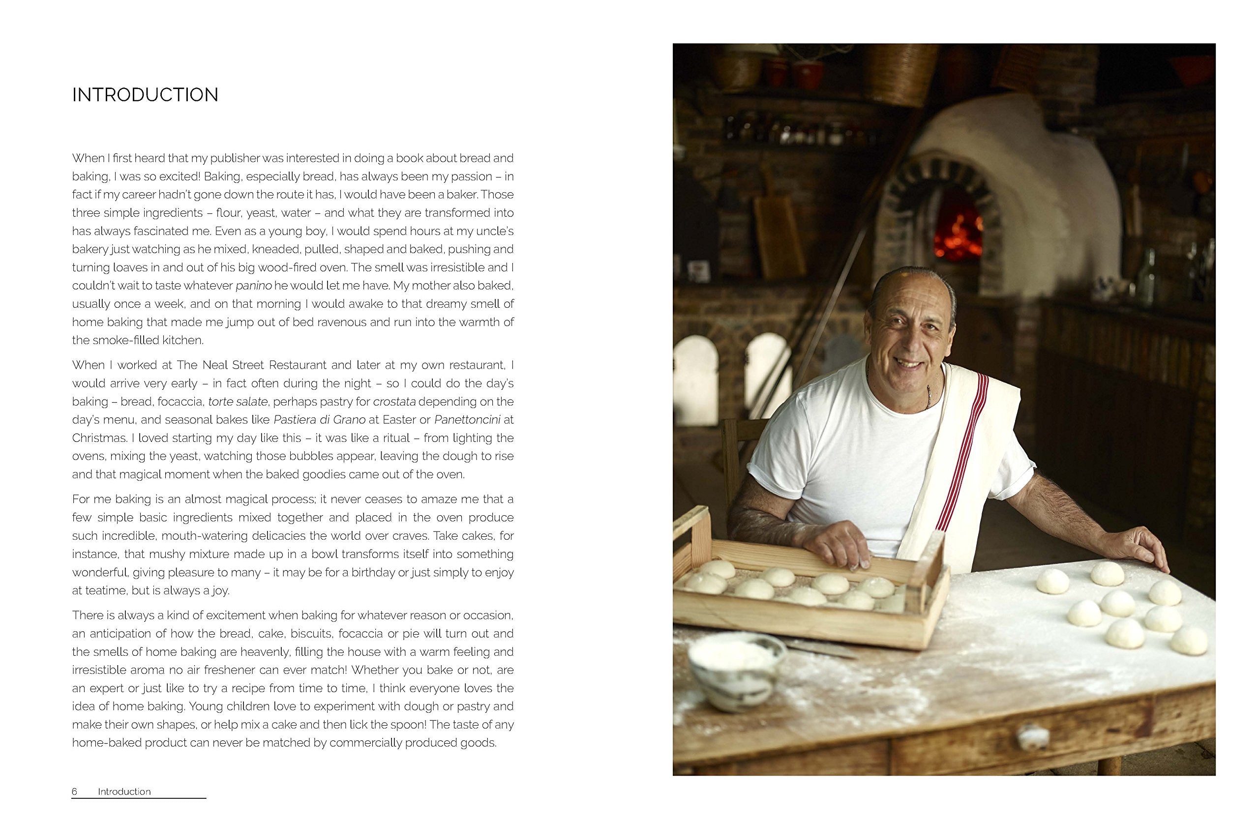 GENNARO'S ITALIAN BAKERY | Creeping Fig