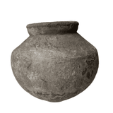 Old Ju Pot | Large | Creeping Fig