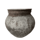 Old Ju Pot | Medium | Creeping Fig