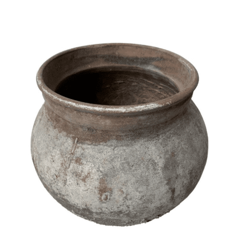 Old Ju Pot | Medium | Creeping Fig