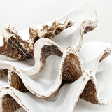 THE CLAM SHELL - LARGE