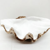 THE CLAM SHELL - EXTRA LARGE